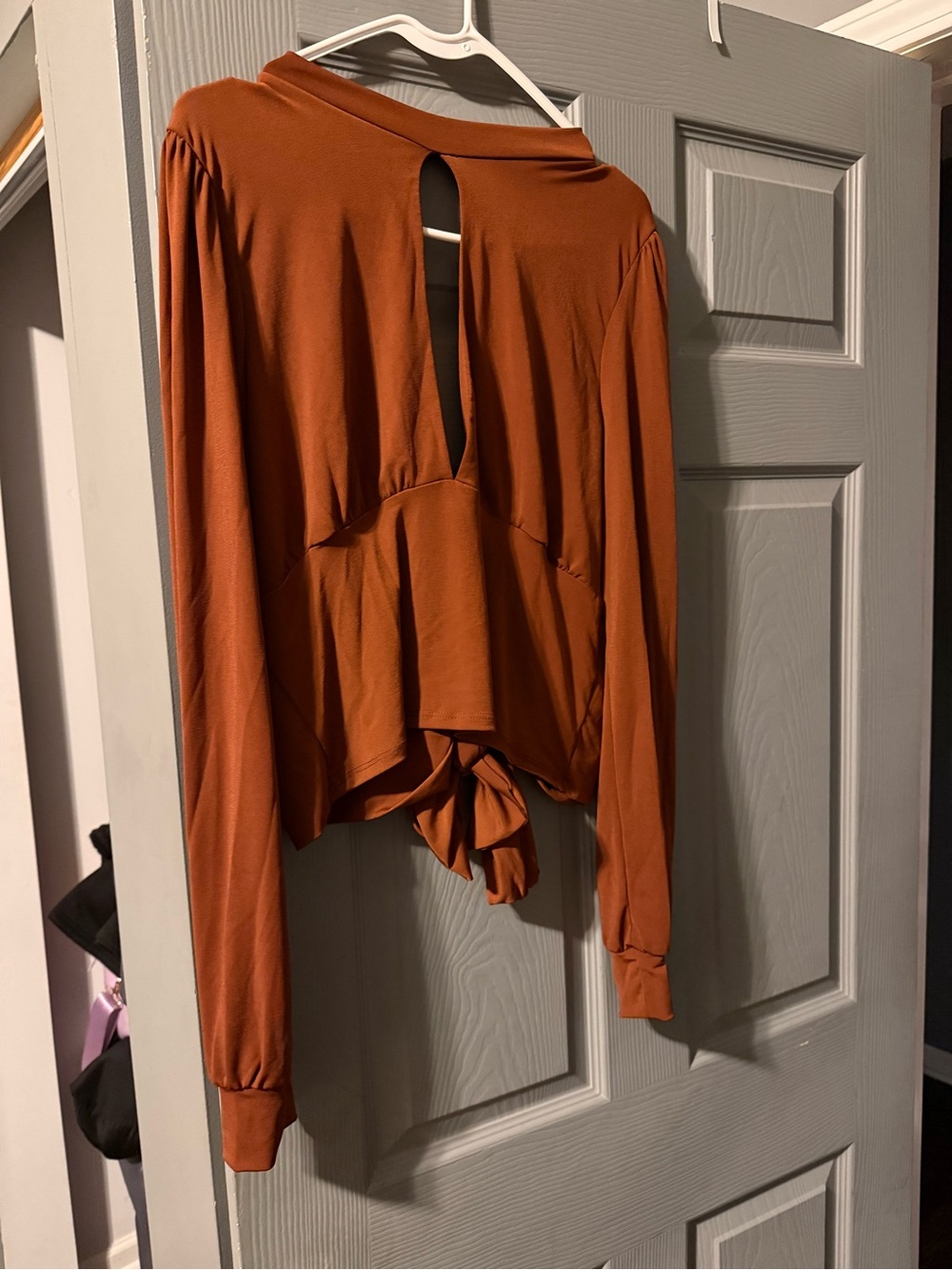 Fashion Nova Rust Tie-Back Long Sleeve Crop Top